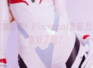 黑丝图集来袭！Vinnegal最新力作，准备好了吗？