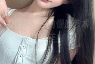 倦倦喵的校园图集：偷懒的艺术，懒散也能是美！